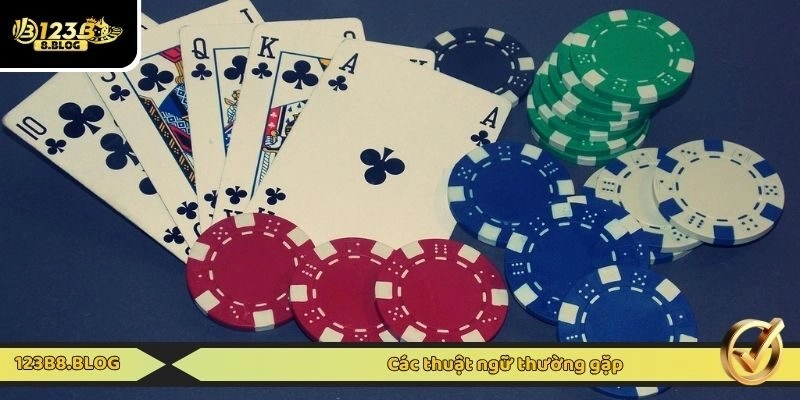 Các thuật ngữ thường gặp