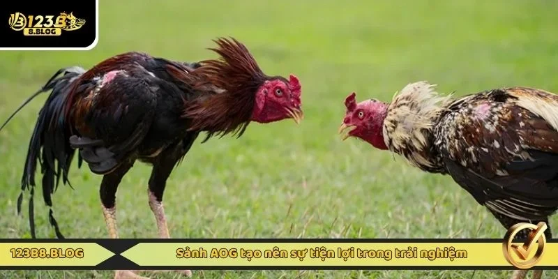Sảnh AOG tạo nên sự tiện lợi trong trải nghiệm